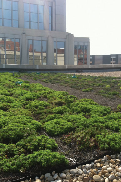 A green roof at 777 North Capitol St NW, funded in part by AWS